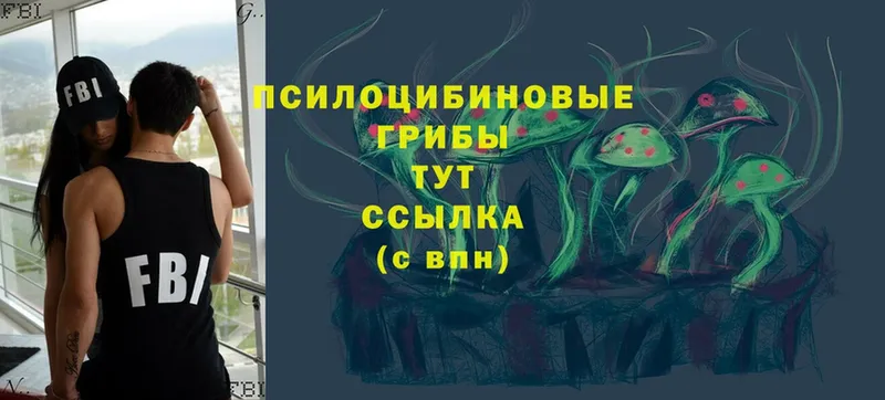 Псилоцибиновые грибы Psilocybe  магазин    блэк спрут рабочий сайт  Дубна 